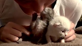 Rescue 2 Newborn Kittens Always Hugging Together with Amazing Transformation