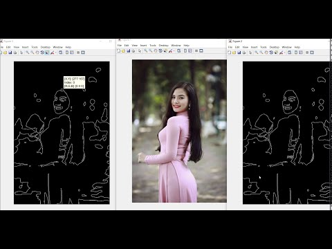 Tips for processing delimited images from coordinates in matlab
