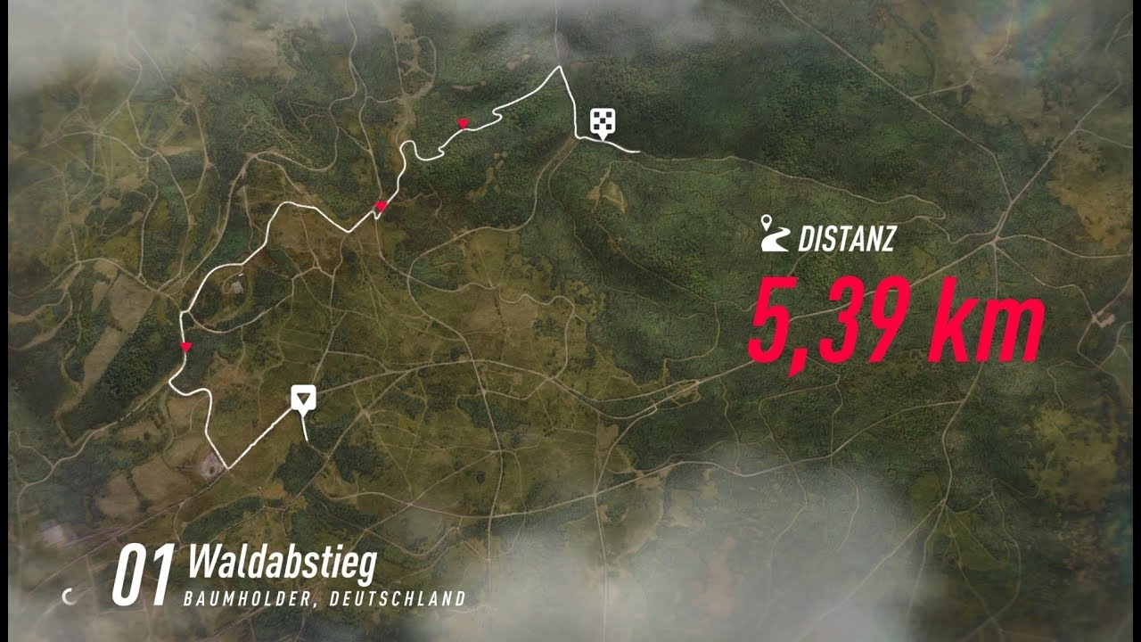 Dirt Rallye 2.0 Baumholder Waldabstieg YouTube