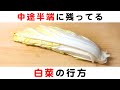 あまった白菜…あなたならどうする？我が家の10分以内でできる小さいおかず♪調味料はたったの１つ！【簡単】【晩ごはん】