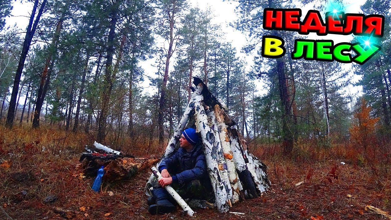 Настоящее выживание в лесу без нечего! Потерялся в Тайге Выживание в ...