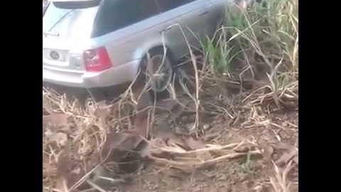 CAR ACCIDENT IN NH4