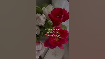 اللهم صل وسلم على نبينا محمد وعلى اله وصحبه اجمعين #اكسبلور #ترند #المصحف #لايك #تيك_توك #سورةالكهف