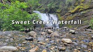 Sweet Creek Falls, Washington — Lower Trail View | 10 Min | 4K Slow TV Nature Sounds