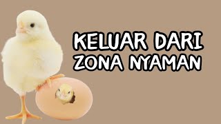 Keluar Dari Zona Nyaman | Story WA Keren Terbaru | Status WA 30 Detik Bantal Guling