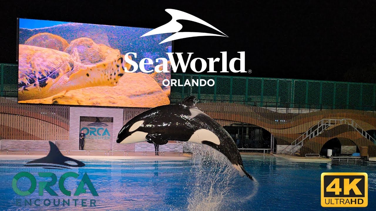 🌊🐋 Orca Encounter Nighttime Show | SeaWorld Orlando  2025 | 4K Ultra HD