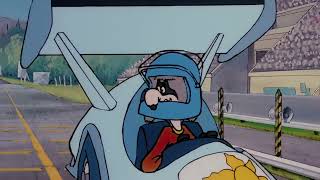 Wacky Raccoons Races