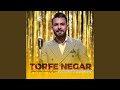 Torfe negar