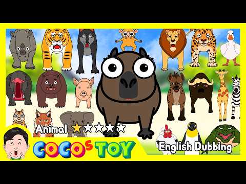 En Dubbing｜Can a <strong>baby</strong> capybara guess all the animal <strong>names</strong>?⭐ㅣanimal <strong>names</strong>, quiz for kidsㅣCoCosToy