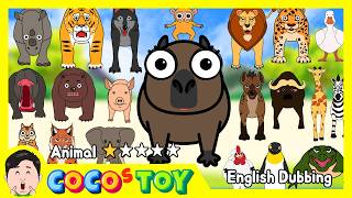 En Dubbing｜Can a baby capybara guess all the animal names?ㅣanimal names, quiz for kidsㅣCoCosToy