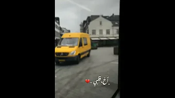 آخ قلبي ماجد مهندس لحالات الواتس اب انستغرام فيس بوك 