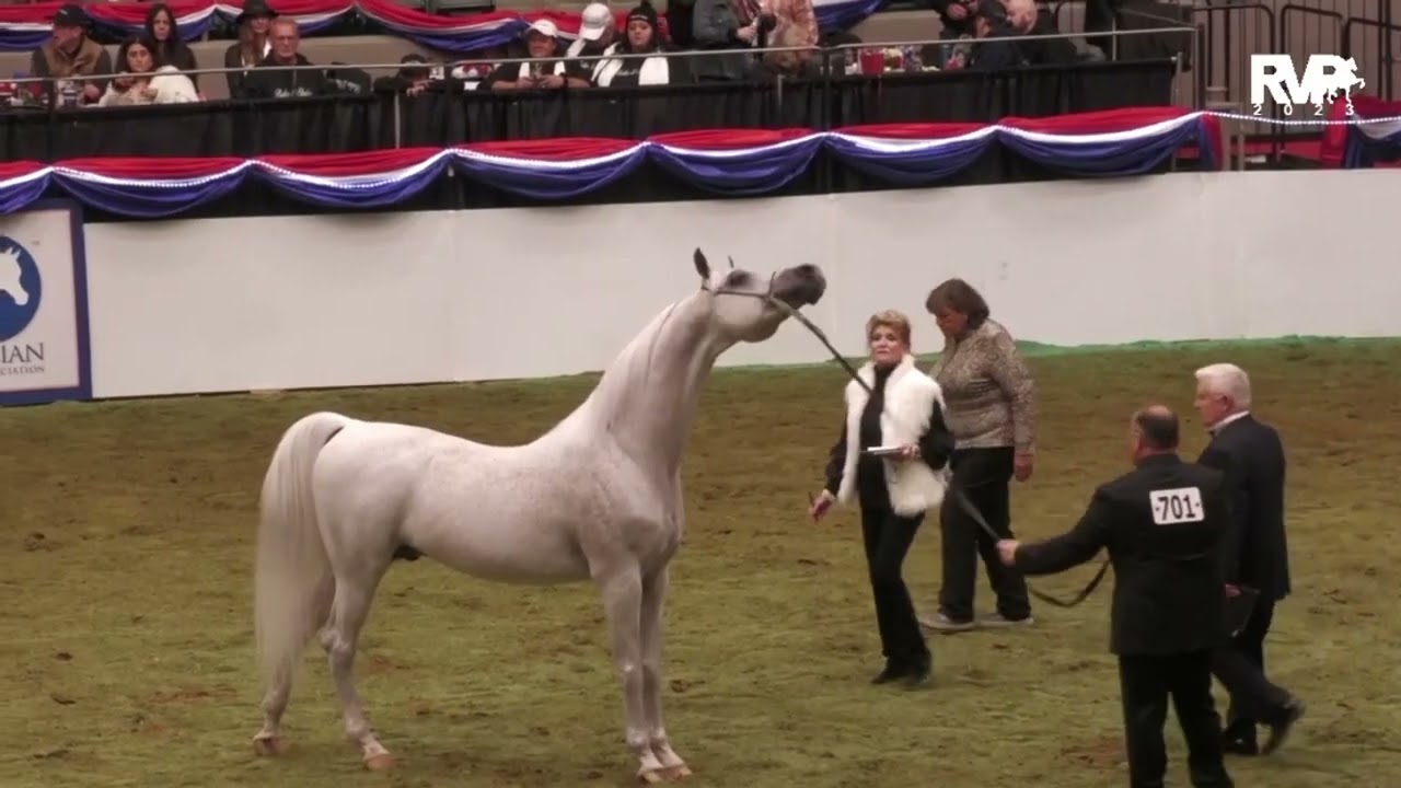 EL Jahez Us National Champion