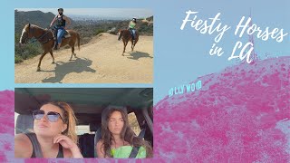 A Visit to Sunset Ranch | Horseback Riding to Hollywood Sign