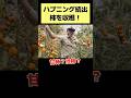 収穫だけのはずが…
