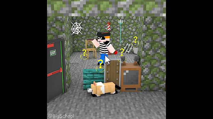 Choose The Item That Can Cover For The Dog To Escape The Thief 👍️