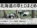 【北海道草ヒロまとめ 廃村廃墟廃車旧車 Bgm】廃病院のベンツW114　水没円形校舎のレガシィ　トトロの猫バス　ジムニーの墓場　湖畔のGTO　廃炭鉱のセルシオ、スカイラインGTR、シルビア、180SX