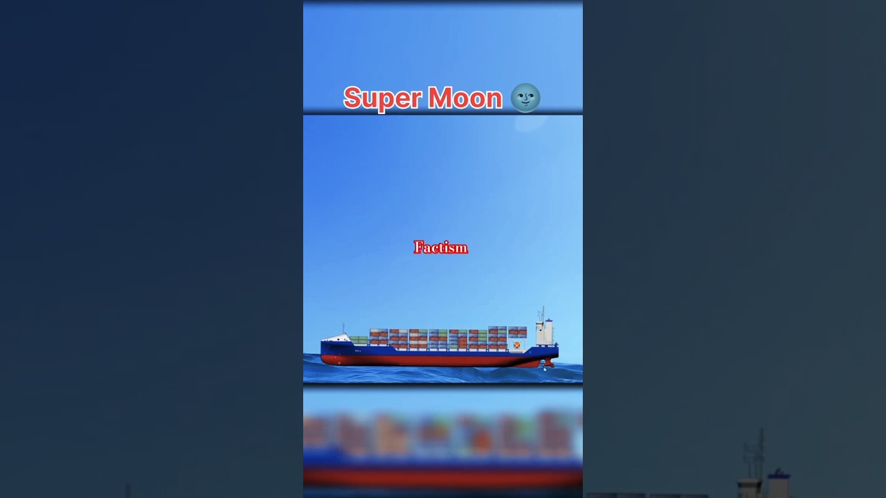 Swis Canal Trade holder loss 