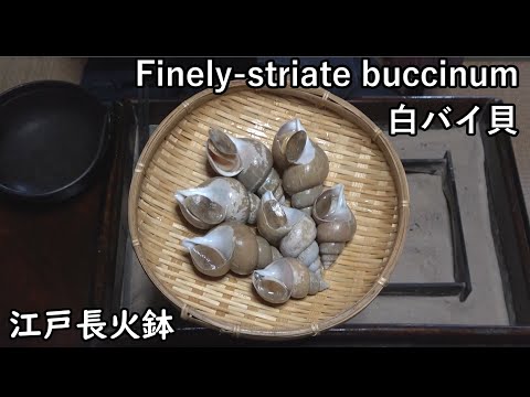 white-bai-shellfish (Finely-striate buccinum)[Japanese food