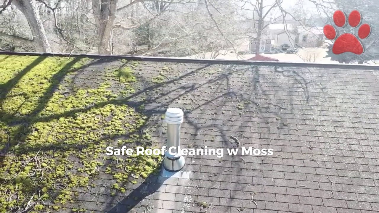 Roof cleaning service Southern Maryland