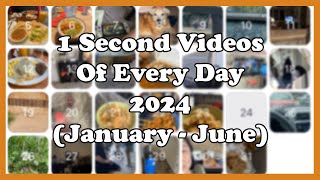 1 Second Videos 2024 (January - June)