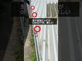 修繕工事をする前に、なぜ壊れたのか⁉️と追求する。#shorts #建築 #一級建築士事務所 #リフォーム #リノベーション #屋根