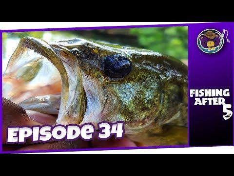 fishing-in-the-rain-at-indian-creek-greenway!-(madison-al)---fishing-after-5