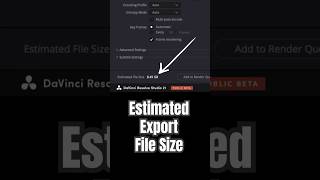 See Export File Size BEFORE You Export! - DaVinci Resolve 21