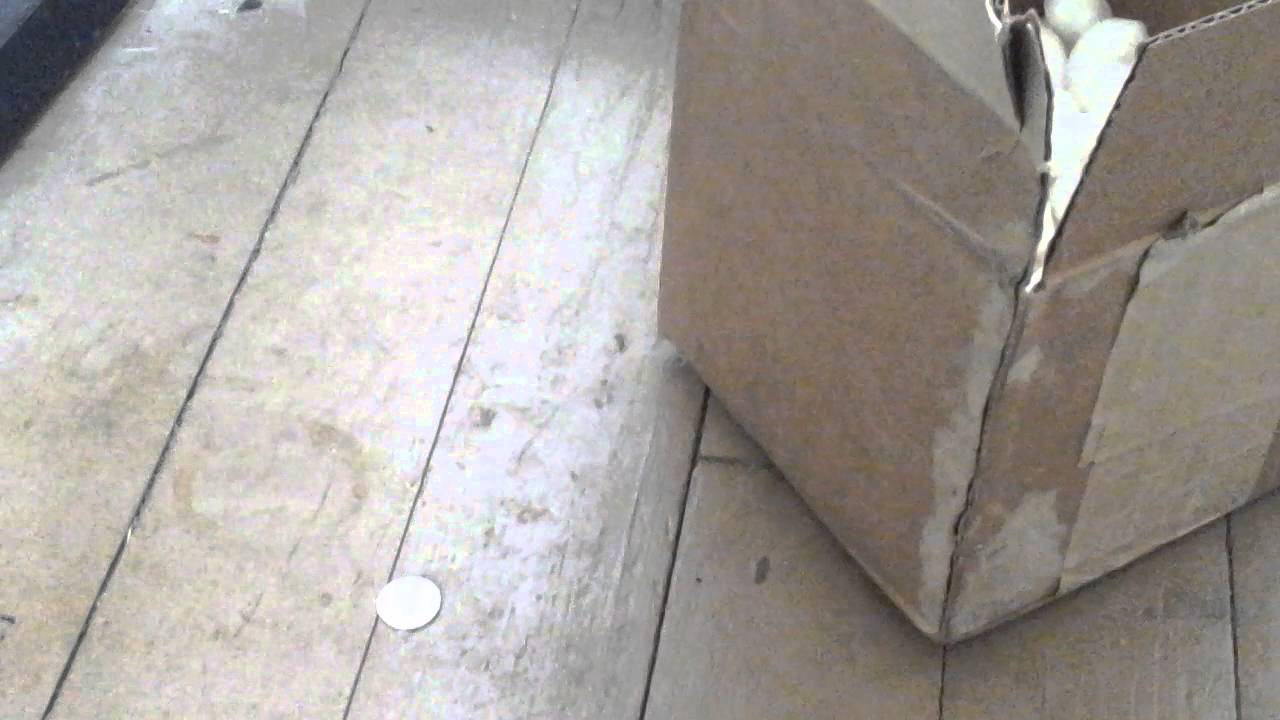 Testing "Reflectivity" with a Copper Amalgam Penny