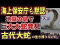 【総集編】海上保安庁も黙認!地獄の島で体長30mの大蛇を発見!日本の巨大大蛇は古代生物の生き残りなのか…【ゆっくり解説】