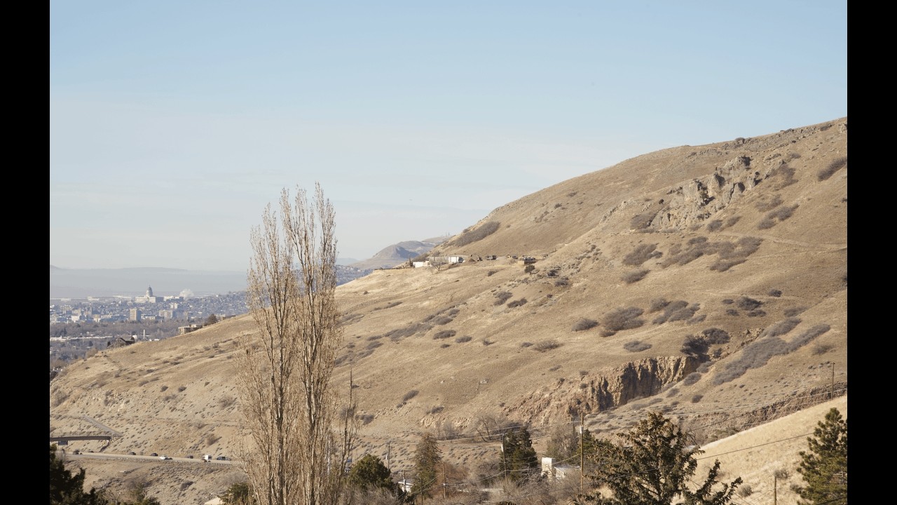 Winter botany and invasive weeds in the Wasatch foothills.