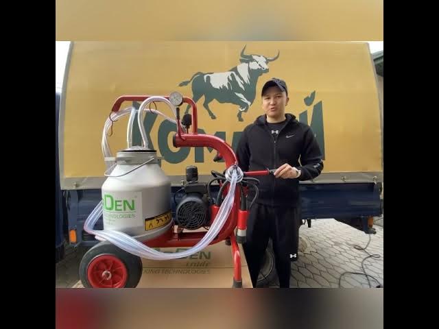 Плейбойдағы Айшвария Рай Порно актриса Кэнди Мэнсон