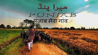 Mera Pind Punjab Song | Drone Shots | Wahgha بھسین گاٶں | Punjab Pakistan screenshot 1