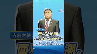 Former Kyrgyz ambassador: Information resilience need of the hour