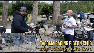 Pigeon Racing - 2025 Tacoma Racing Pigeon Club Fundraising Auction