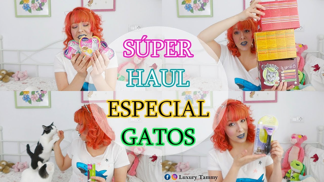 SÚPER HAUL GATUNO ♥Luxury Tammy♥ camera iphone 8 plus apk