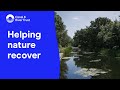 Nine ways canals can fight climate change: Helping nature recover