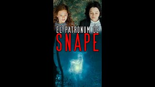 Porque El Expecto Patronum De Snape Es Igual Al De Lily Potter?