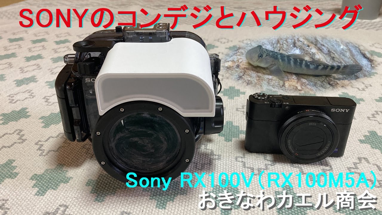 【4K】Sony水中ハウジングMPK-URX100AとRX100M5A 　やんばるの森Vlog