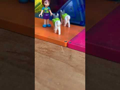 IMG 4839