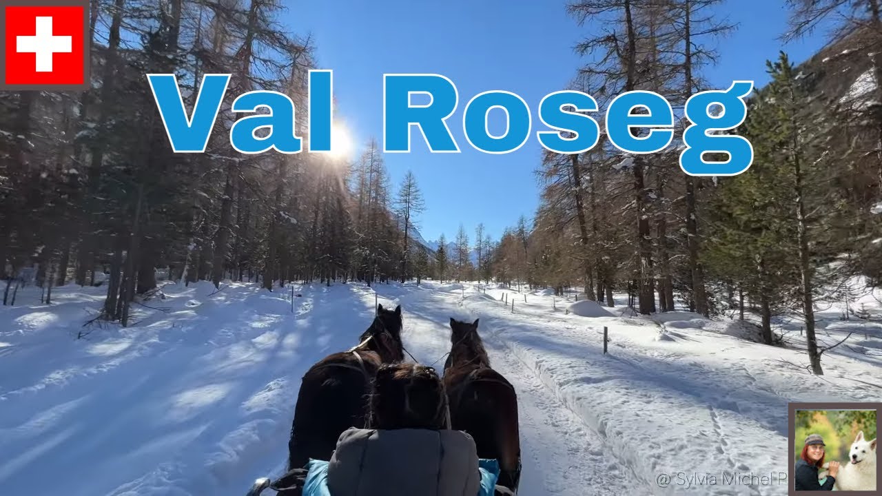 Val Roseg Switzerland horse sleigh