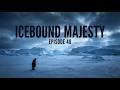 Icebound Majesty | Episode 40 | AI Wildlife Documentary | Algorithm's Eyes