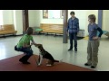 Richmond SPCA Junior Dog Trainers Program Video Richmond SPCA Junior Dog Trainers Program Video