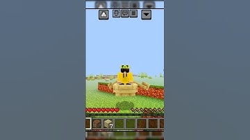 Minecraft But I Can
