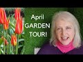 Garden tour April - including small trees with good spring blossom