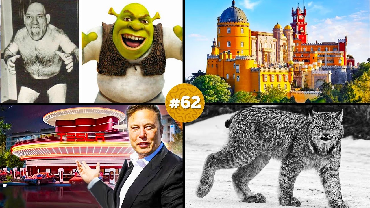 🧠 ¡20 DATOS CURIOSOS que NO sabías hace 5 minutos! 😱#62