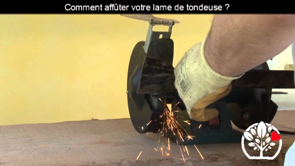 Tutoriel : bien affûter la lame de sa tondeuse