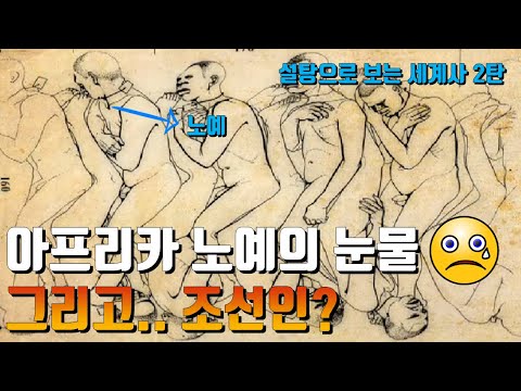 설탕으로 보는 세계사 2탄ㅣ아프리카 노예의 눈물. 그리고 조선인?