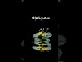 ولست على حال تسر وإننيعلى كل ما ألقاه راض وصابر مساء الخير صباح الخي ر قصايد شعر