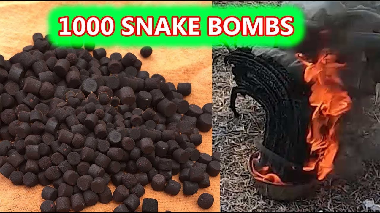 1000 Snake bombs Experiment✅ | 5-Minutes Experiment