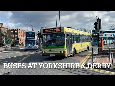 Buses at Yorkshire & Derby 